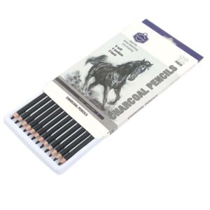 Keep Smiling Mix Charcoal Pencils Set Of 12 Pencils